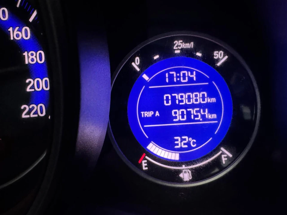 1000059061